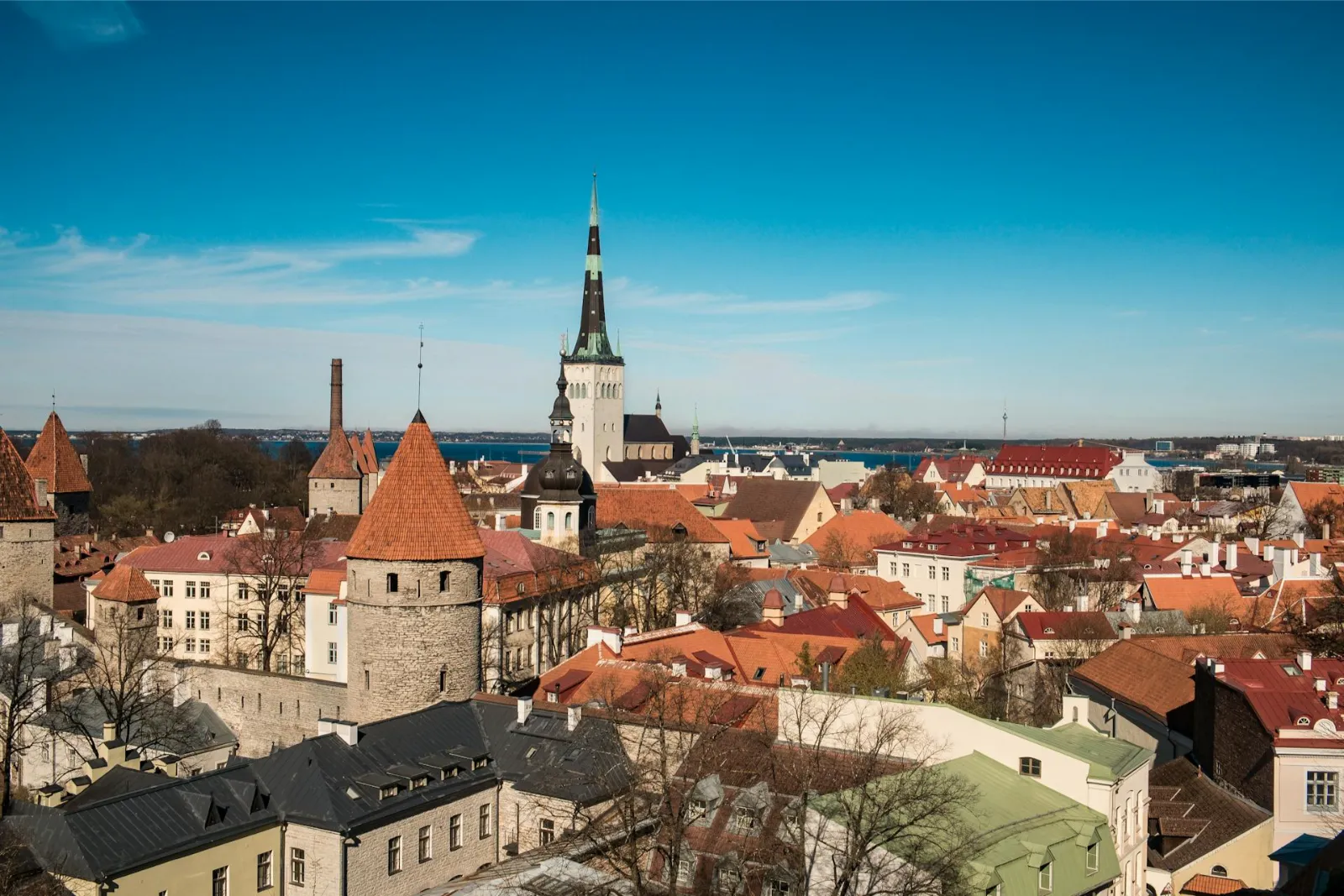 Reliable Estonia Dedicated Server – No 1 Dedicated Hosting in Tallinn